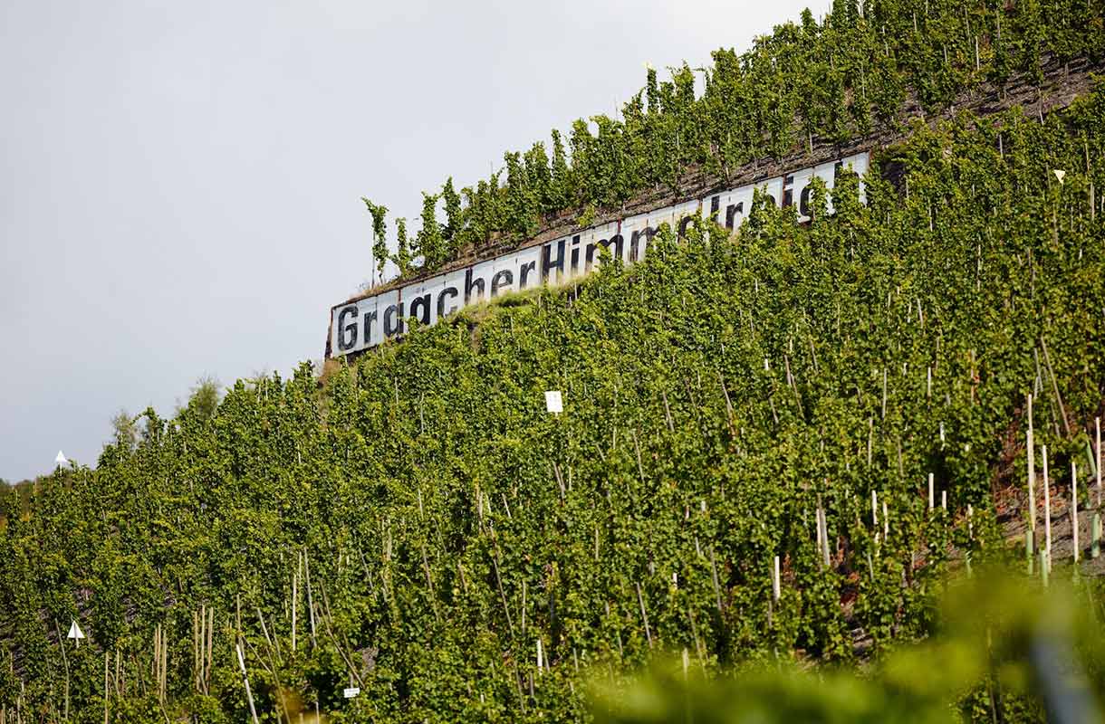 Vineyard - Vignoble - Weinlage Graacher Himmelreich
