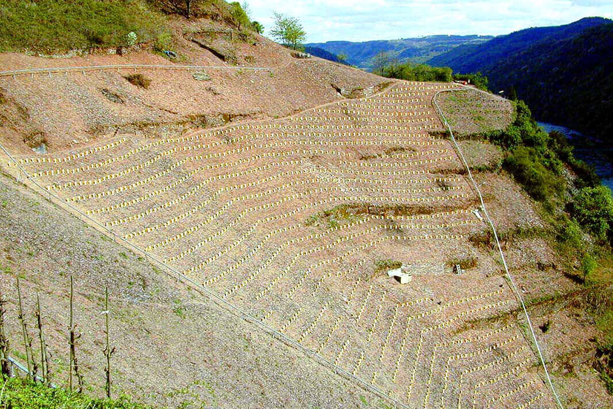 Steilhänge Weingut Franzen - Steep slopes wine estate Franzen - Vignoble en forte pente domaine Franzen