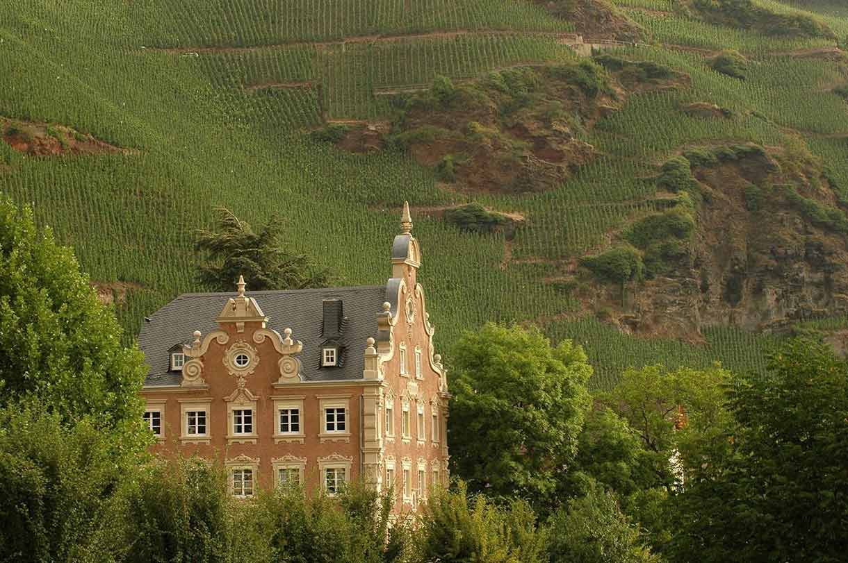 Weingut Mönchhof - Domaine viticole Mönchhof - Wine estate Mönchhof
