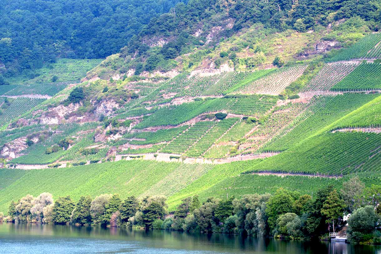 Steilhänge Weingut Hain - Steep slopes wine estate Hain - Vignoble en forte pente domaine Hain