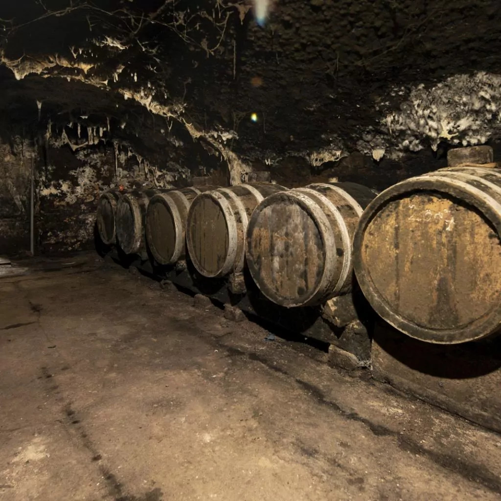 Fasskeller - Cave à barriques - Barrel cellar